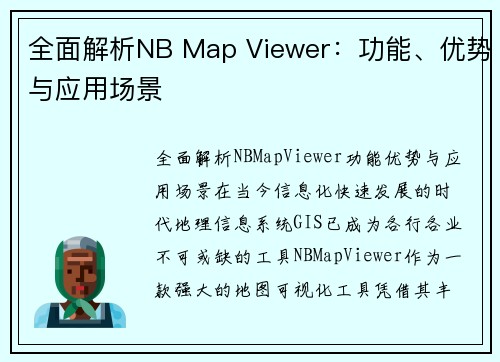 全面解析NB Map Viewer：功能、优势与应用场景